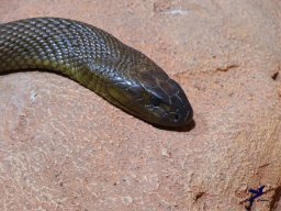 Haus des Meeres 13.03.2026